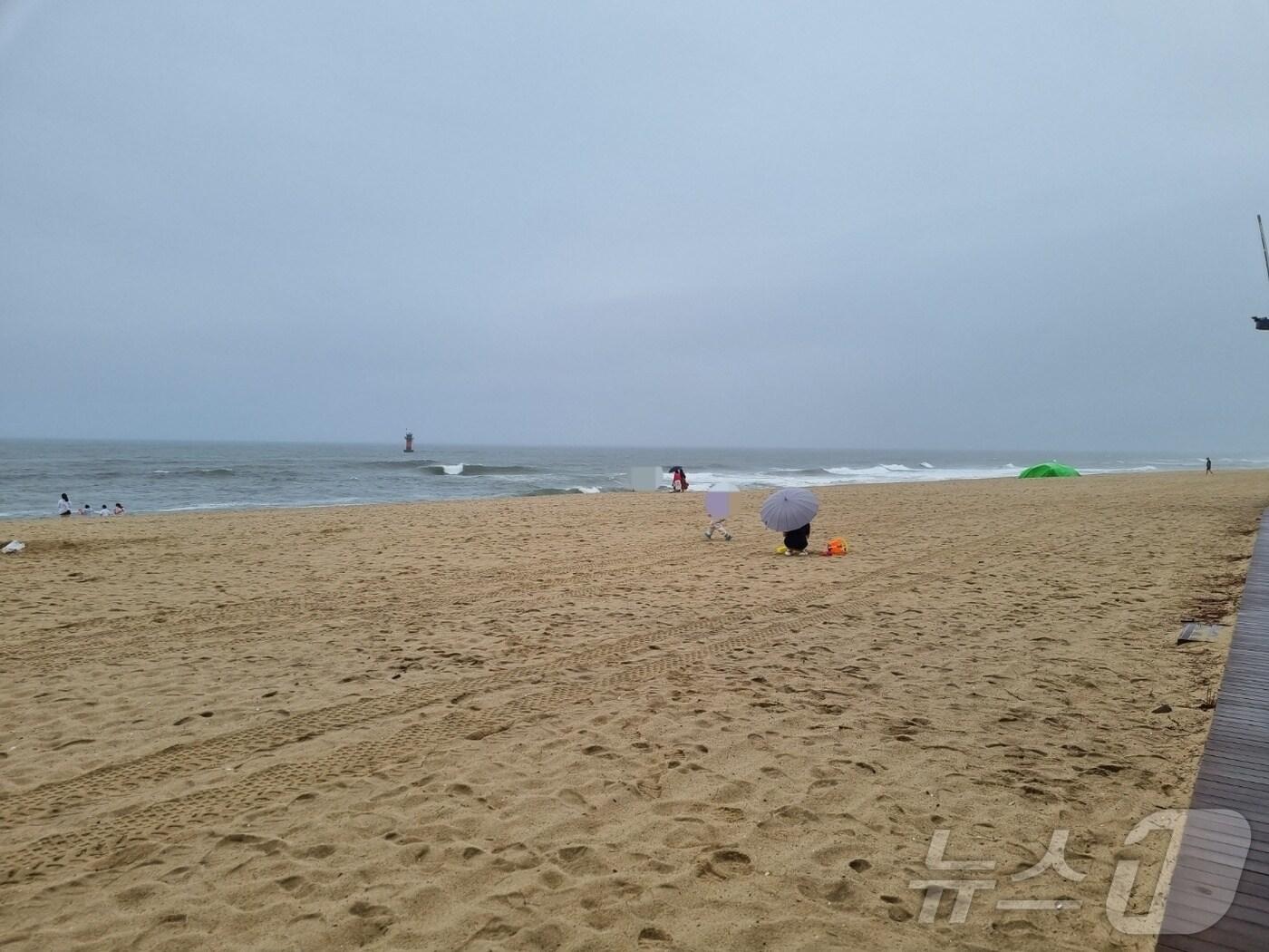 본문 이미지 - 한산한 동해안 해수욕장 자료사진.(뉴스1 DB)