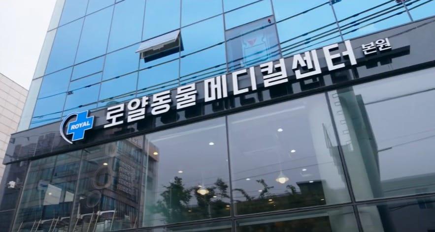 본문 이미지 - 로얄동물메디컬센터가 지난 6월 국내 최초로 미국동물병원협회 인증을 받았다. (로얄동물메디컬센터 제공) ⓒ 뉴스1