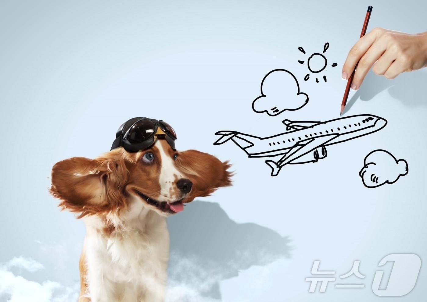 강아지와 비행기 그림(사진 이미지투데이) ⓒ 뉴스1