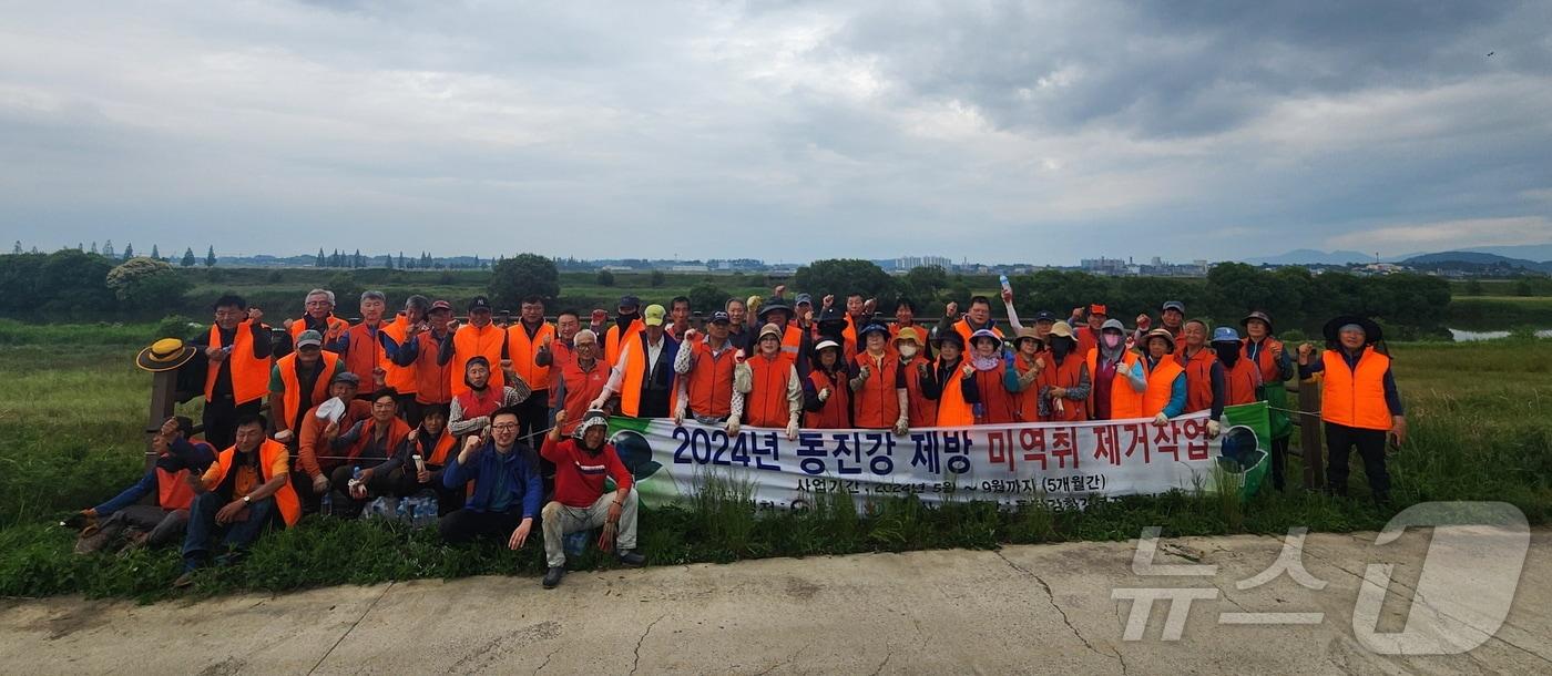 본문 이미지 - 정읍시는 자연보호단체인 동진강환경·복지협의회와 자연보호중앙연맹과 함께 동진강 일대의 생태계교란 외래식물 '양미역취'를 제거사업을 실시했다.(정읍시 제공)2024.7.19/뉴스1 