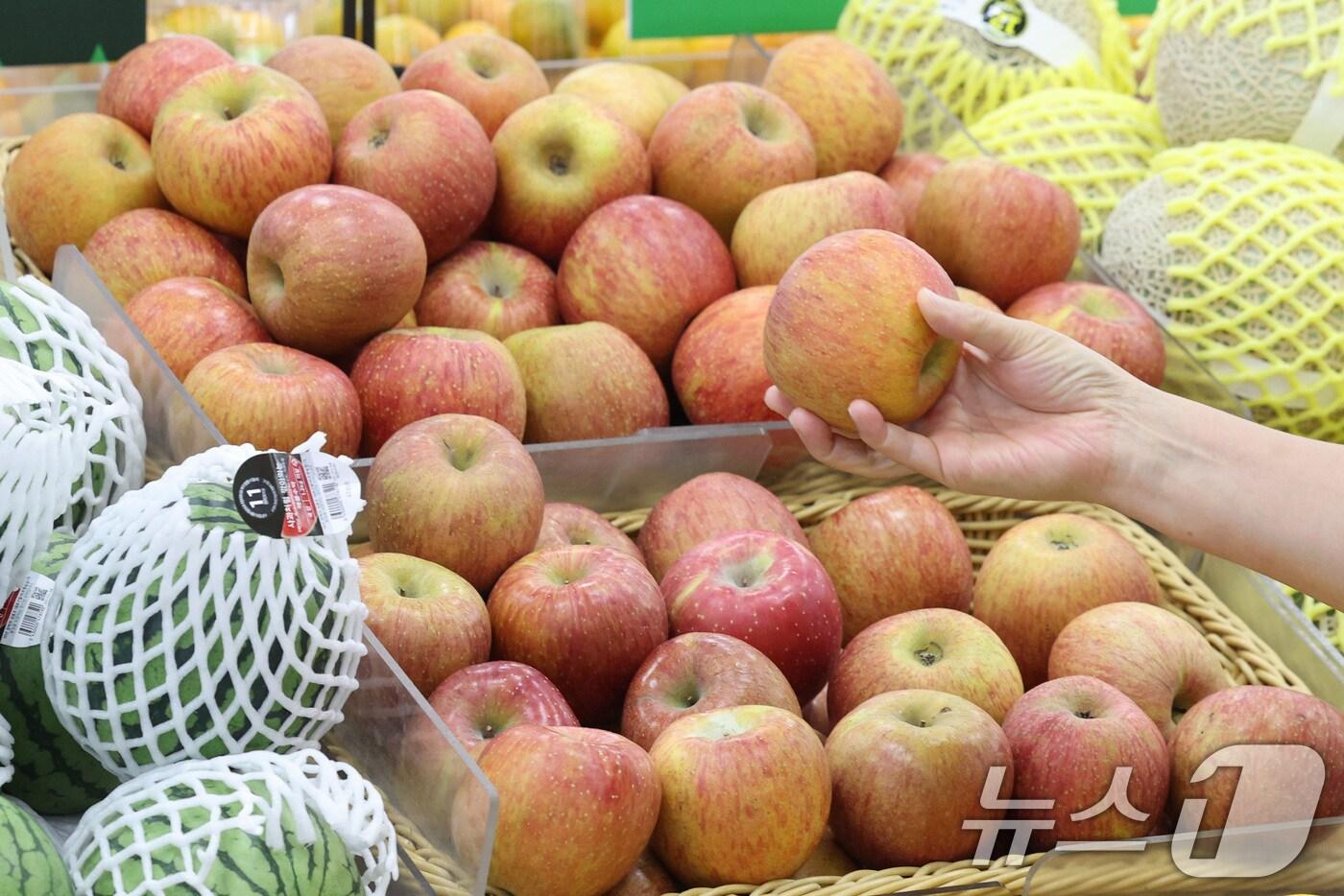 자료 사진. /뉴스1 ⓒ News1 신웅수 기자