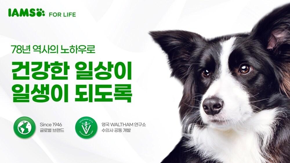 본문 이미지 - 한국마즈가 프리미엄 펫푸드 브랜드 아이엠즈&#40;IAMS&#41;를 국내 출시하고 반려견 사료 3종을 출시한다고 2일 밝혔다. ⓒ 뉴스1
