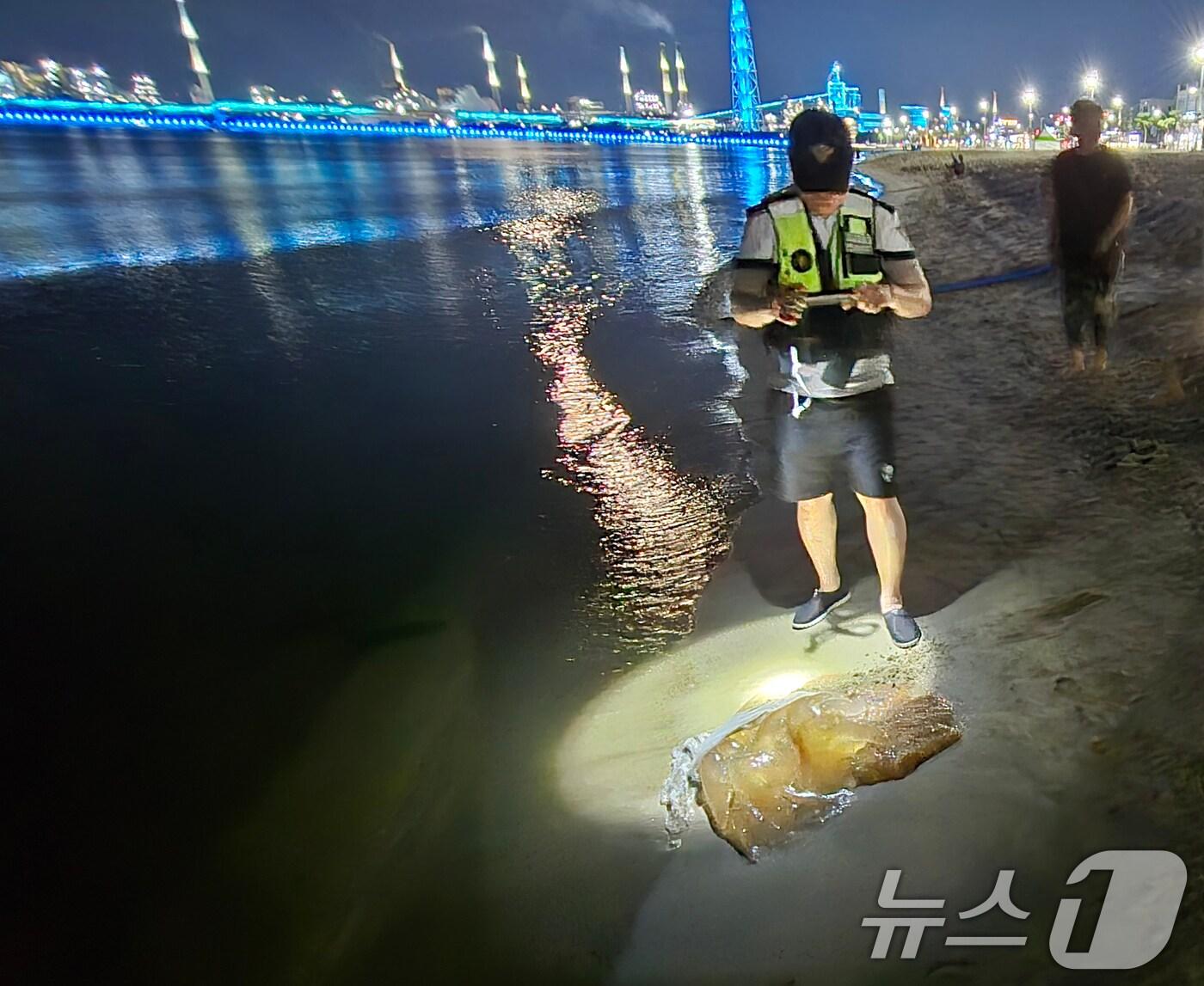 본문 이미지 - 21일 오후 9시1분쯤 경북 포항시 남구 송도해수욕장에서 대형 해파리가 수면에 떠있는 것을 시민이 발견해 해경에 신고했다. 신고를 받은 포항해양경찰서는 시민들의 안전을 위해 수거 한 후 관계 기관에 정확한 해파리 종류에 대해 문의할 계획이다. 이날 발견된 해파리는 가로, 세로 약 50cm정도의 크기다. (독자제공) 2024.7.21/뉴스1 ⓒ News1 최창호 기자