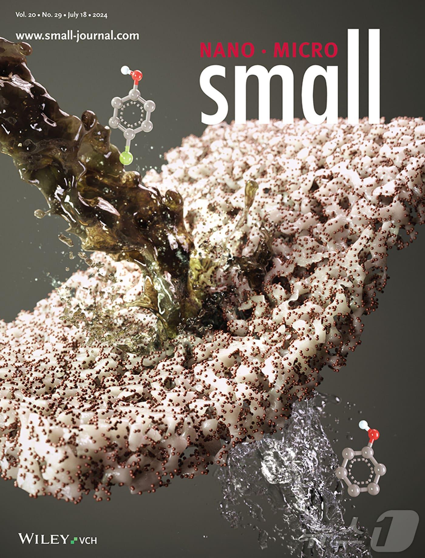 본문 이미지 - 'Small'표지 논문(Back Cover)(지스트 제공)/뉴스1 