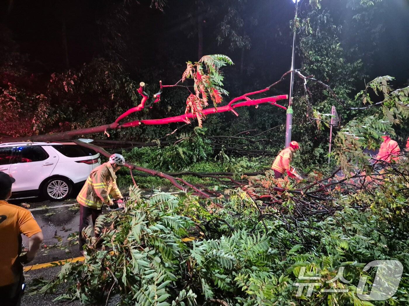 본문 이미지 - 소방대원들이 23일 새벽 경기 가평군 가평역 사거리 인근에서 폭우로 쓰러진 나무를 제거하고 있다. &#40;경기북부소방본부 제공&#41; 2024.7.23/뉴스1 ⓒ News1 유승관 기자