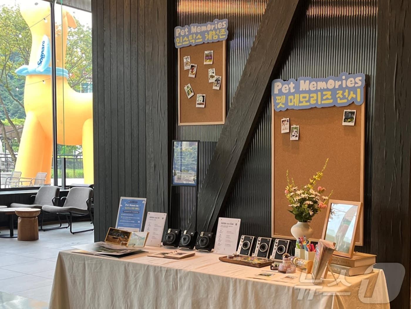 본문 이미지 - 펫 메모리즈 행사.(대명소노그룹 소노인터내셔널 제공)/뉴스1