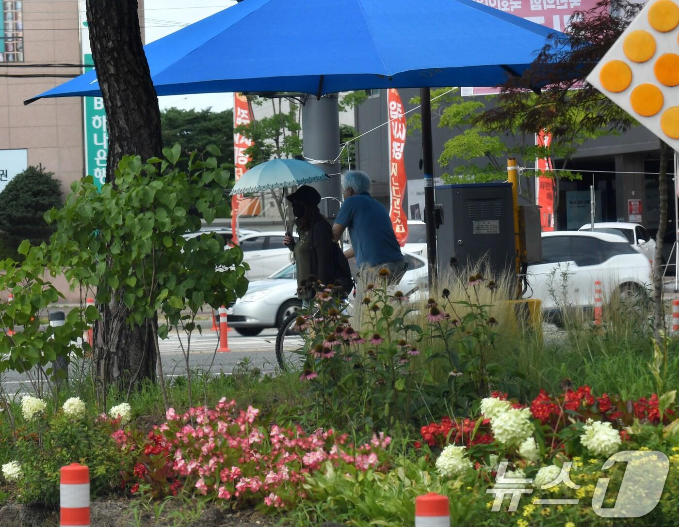 본문 이미지 - 23일 경북 포항시 남구 오광장 횡단보도에서 시민들이 그늘막과 나무 그늘 아래에서 햇볕을 피하고 있다. 포항시는 녹색도시 조성을 위해 시가지 교통섬과 도심 텃밭에 작은 녹지대를 조성하고 있다. 2024.7.23/뉴스1 ⓒ News1 최창호 기자