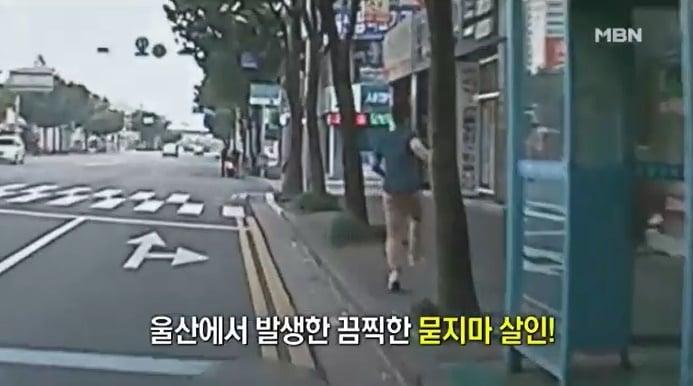 본문 이미지 - (MBN 뉴스 갈무리)