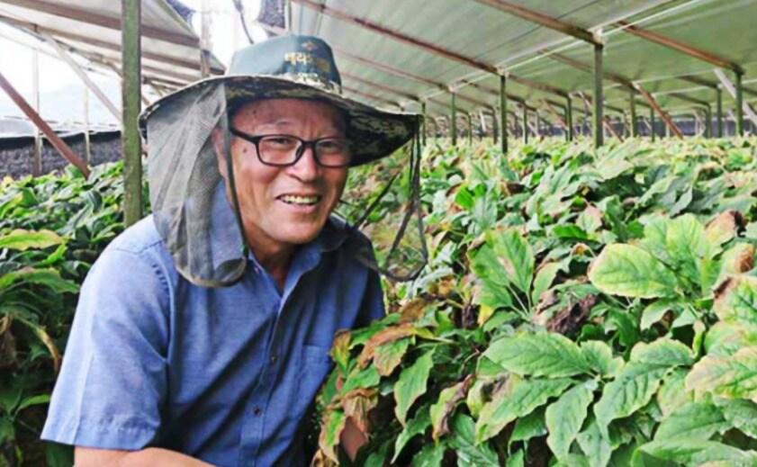 본문 이미지 - (쿠팡 제공)