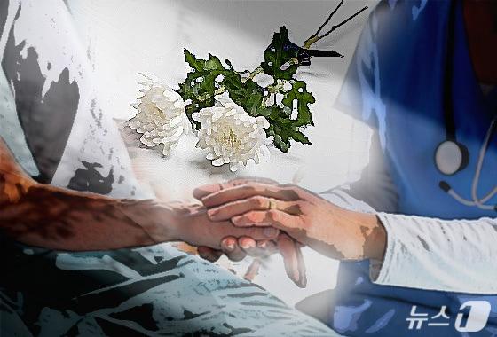 본문 이미지 - ⓒ News1 윤주희 디자이너