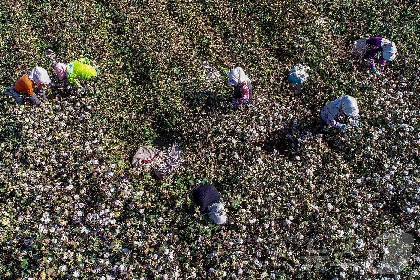 본문 이미지 - 신장위구르 ⓒ AFP=뉴스1 ⓒ News1 정희진 기자