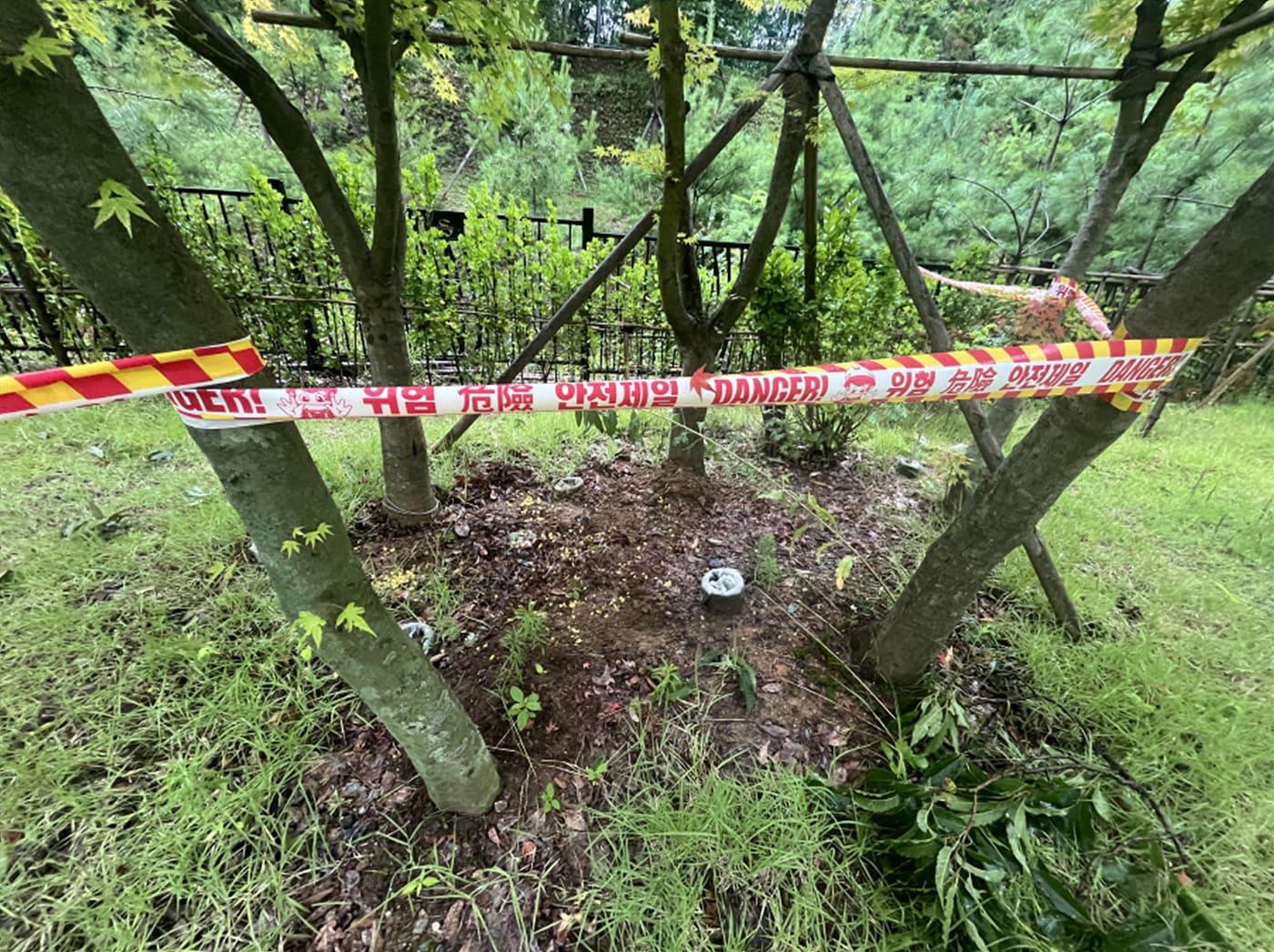 본문 이미지 - 오소리 포획용 틀(하남시 제공)/뉴스1 