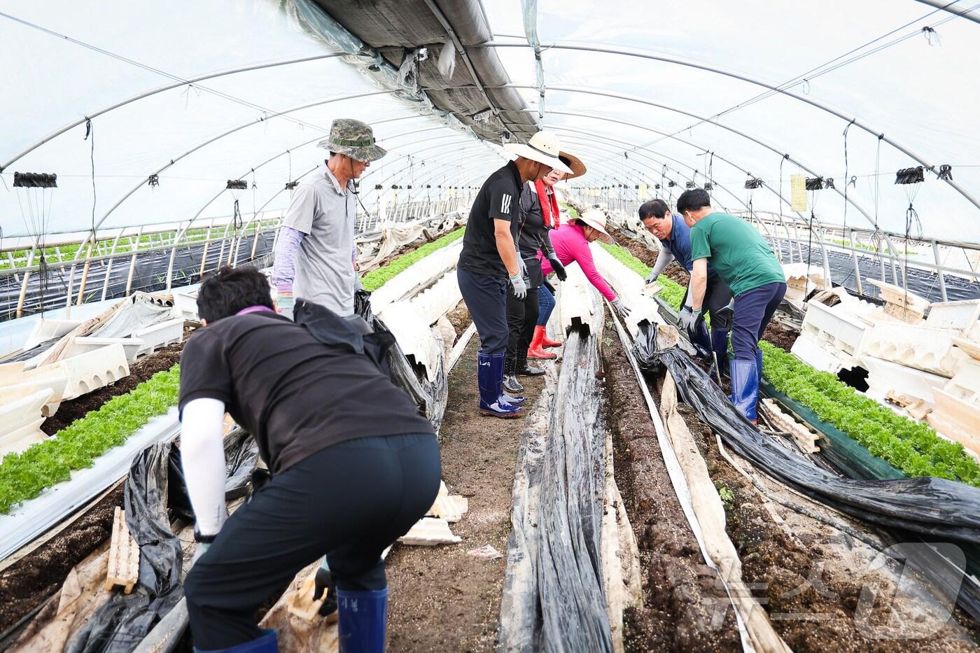 지난 24일 논산 광석면 산동리에서 청양군의회 의원과 직원들이 수해복구 활동을 벌이고 있다. &#40;청양군의회 제공&#41; / 뉴스1