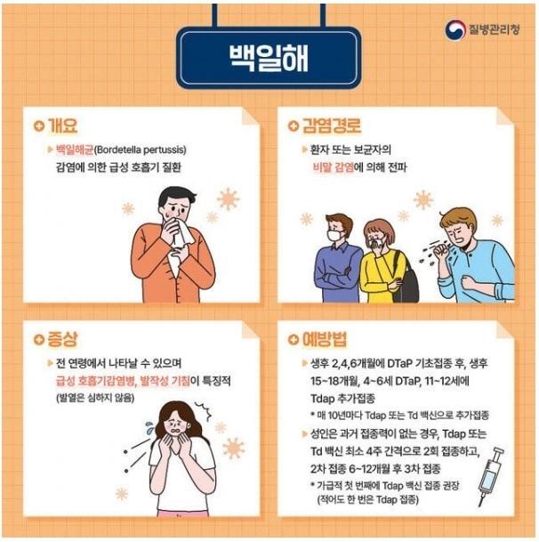 본문 이미지 - 백일해 예방 포스터&#40;경기 양평군 제공&#41;/.뉴스1 