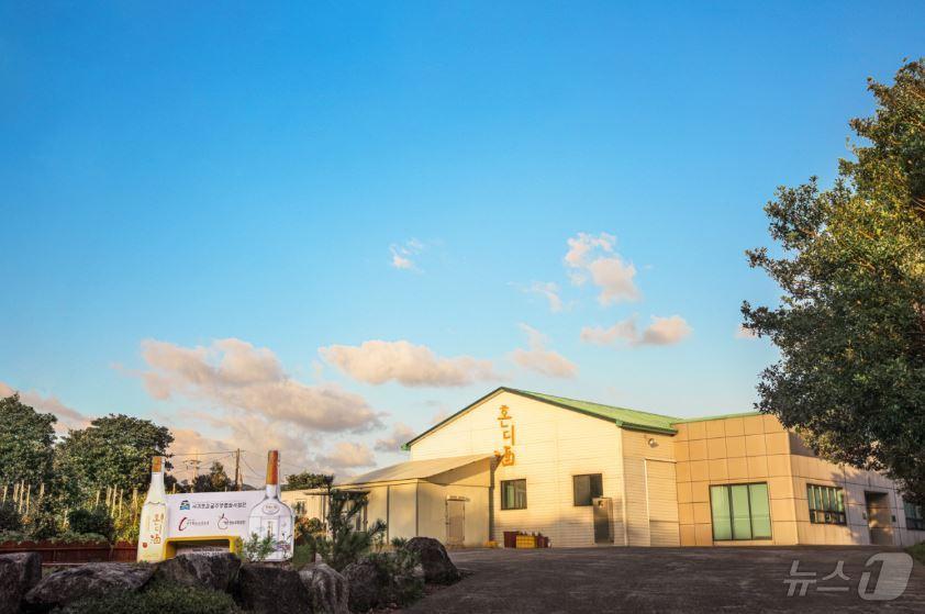 본문 이미지 -  시트러스 외관(서귀포시 제공)/뉴스1