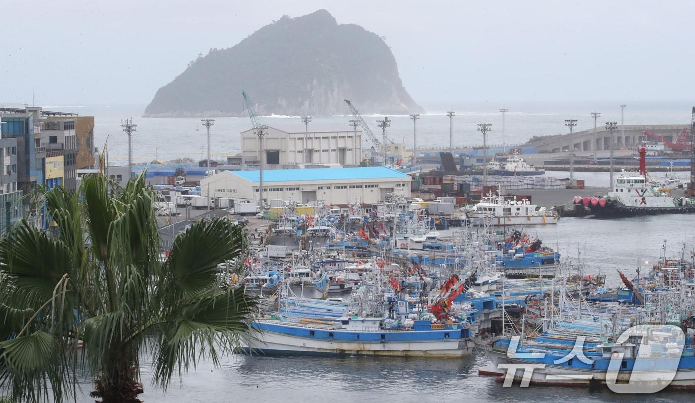 제주 서귀포항.(자료사진) ⓒ News1 