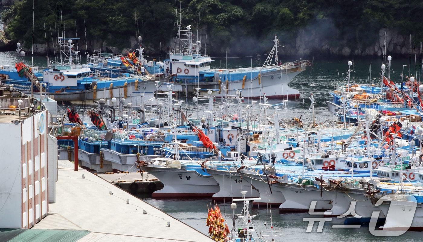 정박중인 어선./뉴스1