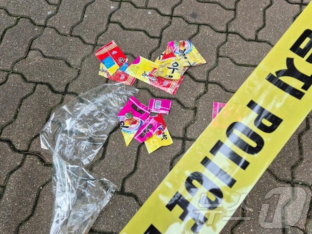본문 이미지 - 25일 오후 서울 여의도 국회도서관 인근 도로에서 발견된 오물풍선 잔해 / 독자 제공