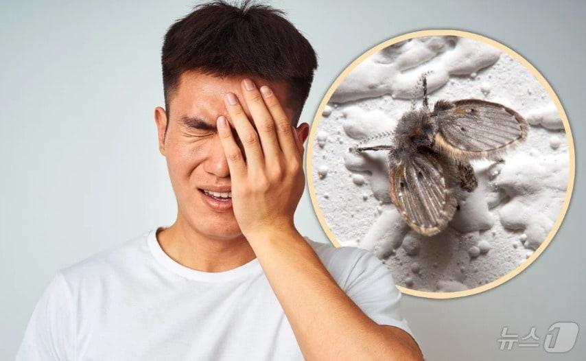 본문 이미지 - 관련 시각물 - SCMP 갈무리