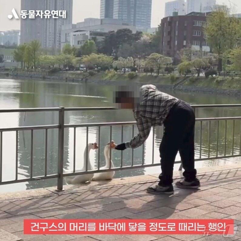 본문 이미지 - (동물자유연대 블로그 갈무리)