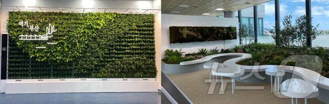 본문 이미지 - 김해국제공항 국내선 1층 도착장(왼쪽부터), 김해국제공항 국내선 2층 탑승장 정원(부산시청 제공)