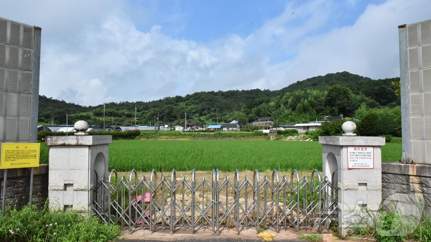 본문 이미지 - 26일 전남 보성군 벌교읍 영등리에 위치한 구 영등초등학교(폐교) 운동장이 논으로 둔갑해 논란이다.2024.7.26/뉴스1 ⓒ News1 김동수 기자