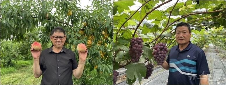 본문 이미지 - 옥천군 복숭아왕 장현철 씨(왼쪽)과 포도왕 이상인 씨(옥천군 제공) /뉴스1 