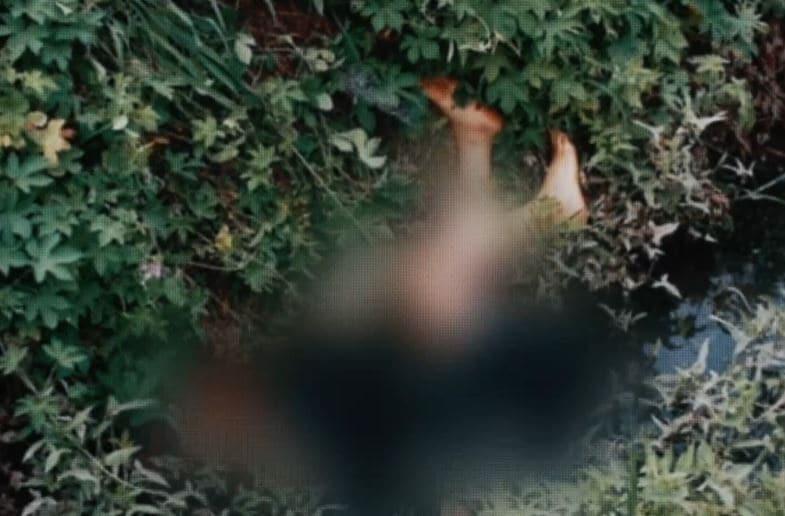 본문 이미지 - (SBS '그것이 알고 싶다')