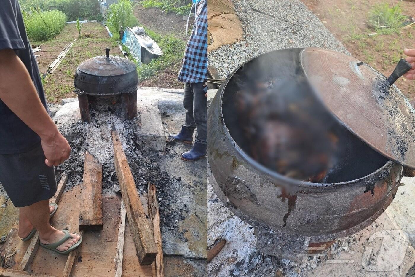 본문 이미지 - (보배드림 갈무리)