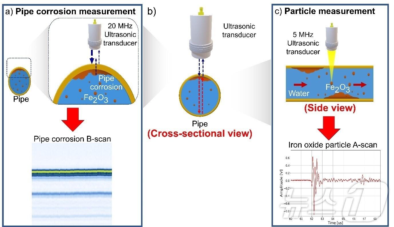 본문 이미지 - 초음파와 인공지능을 이용한 이중진단시스템 모식도. &#40;국립부경대 제공&#41;