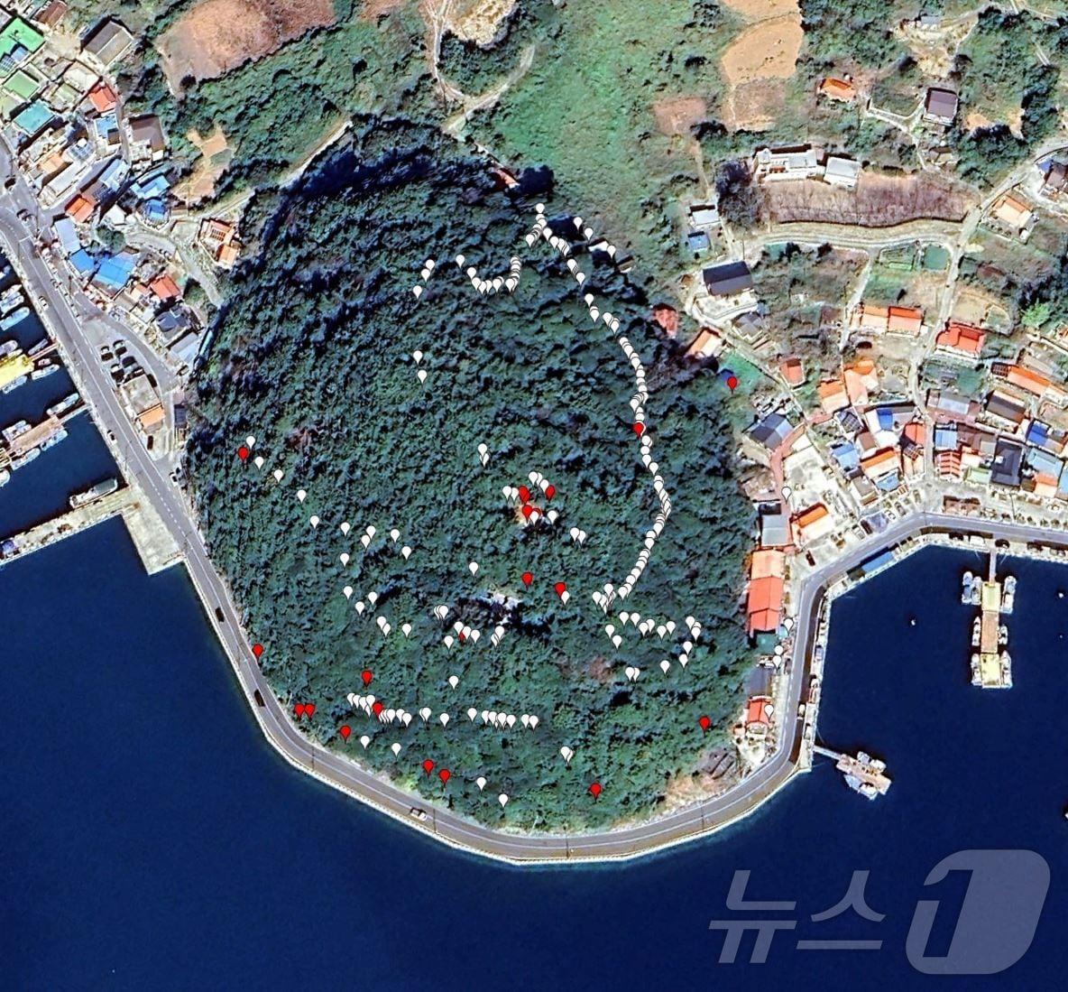 본문 이미지 -   욕지도 내 구실잣밤나무 발견장소(붉은 표시) (산림청 국립수목원 제공)/뉴스1 