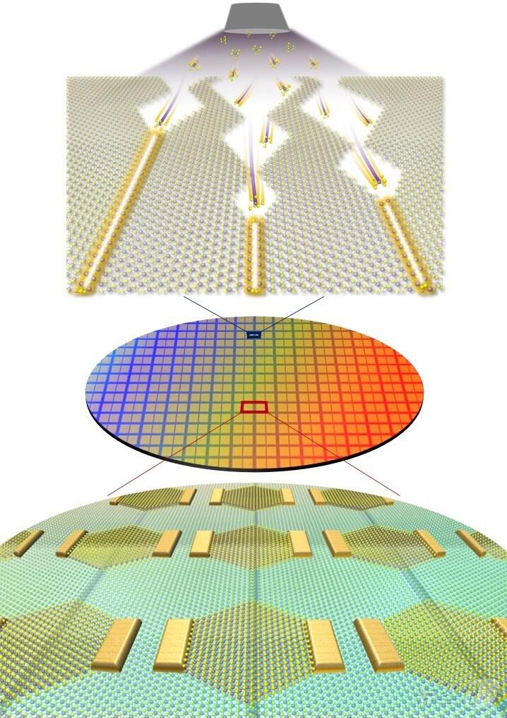본문 이미지 - 차원 거울 쌍정 경계의 성장 및 이를 기반으로 한 대면적 2차원 반도체 집적회로 모식도. (IBS 제공)/뉴스1