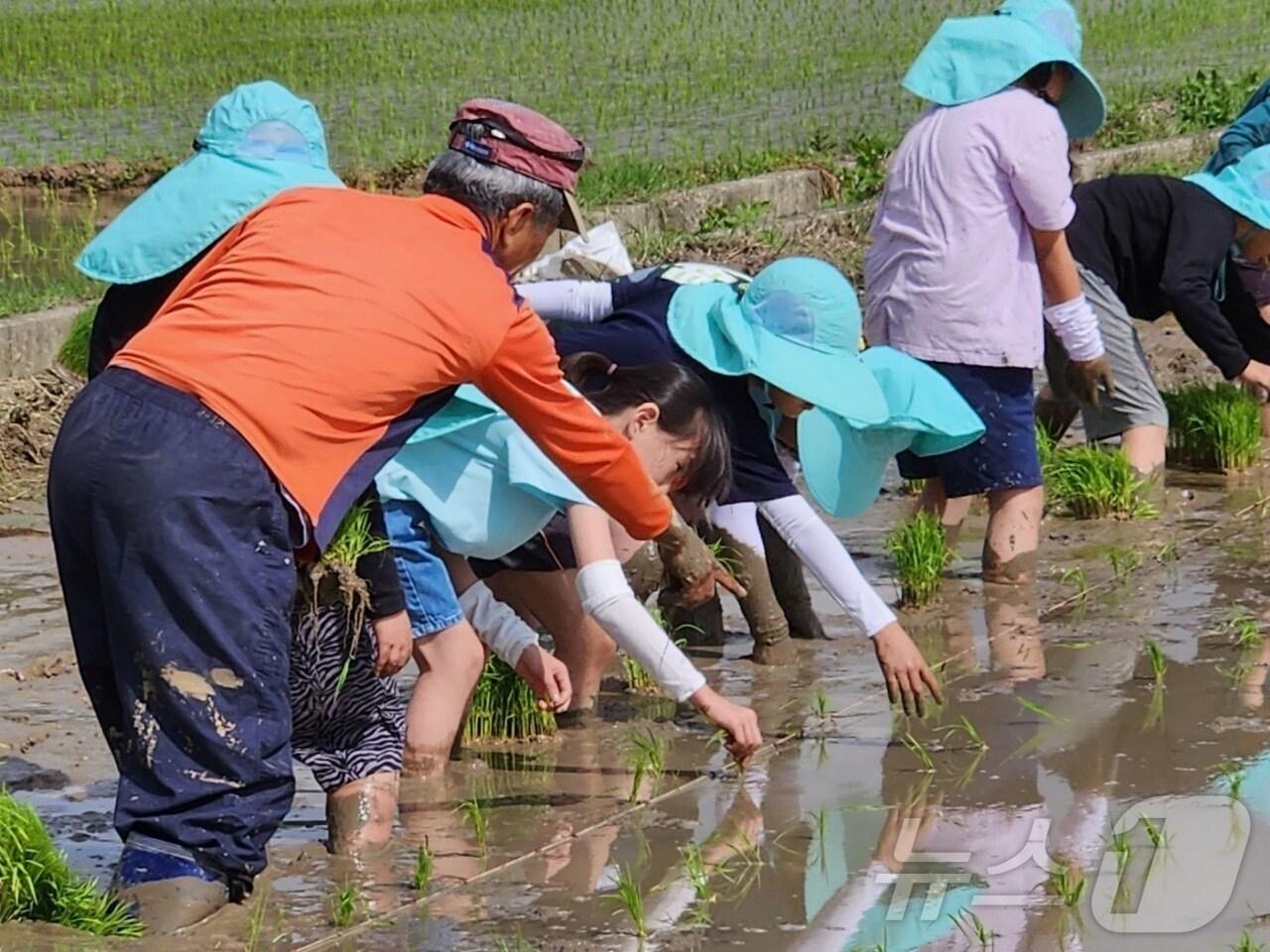 본문 이미지 - 정읍시가 농업인들의 편의를 위해 2월 한 달간 비대면 공익직불금 신청을 받는다. 모내기 행사 자료사진. /뉴스1