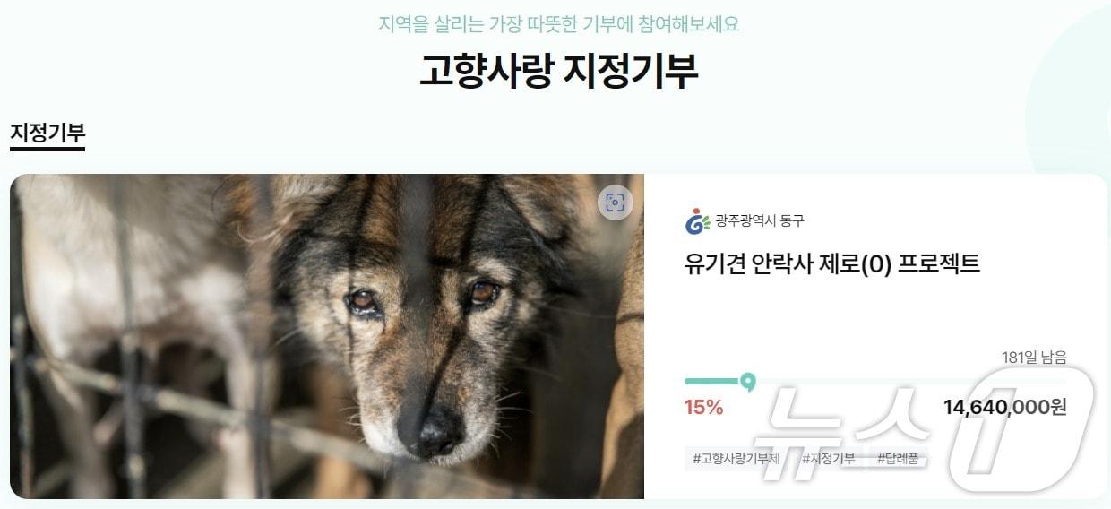 본문 이미지 - 광주 동구 고향사랑기부금 신규 지정 기부 '유기 동물 구조 보호' 사업 모금. (위기브 갈무리)/뉴스1