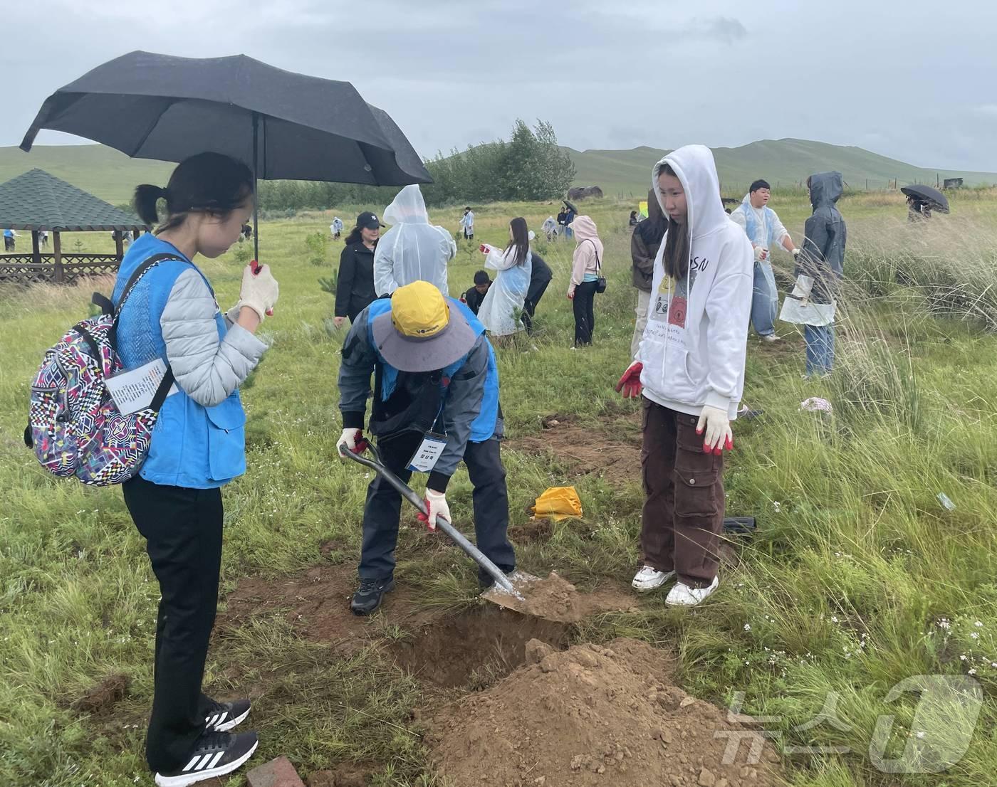 본문 이미지 - 영암 청소년 몽골 나무심기 &#40;영암군 제공&#41;/뉴스1 