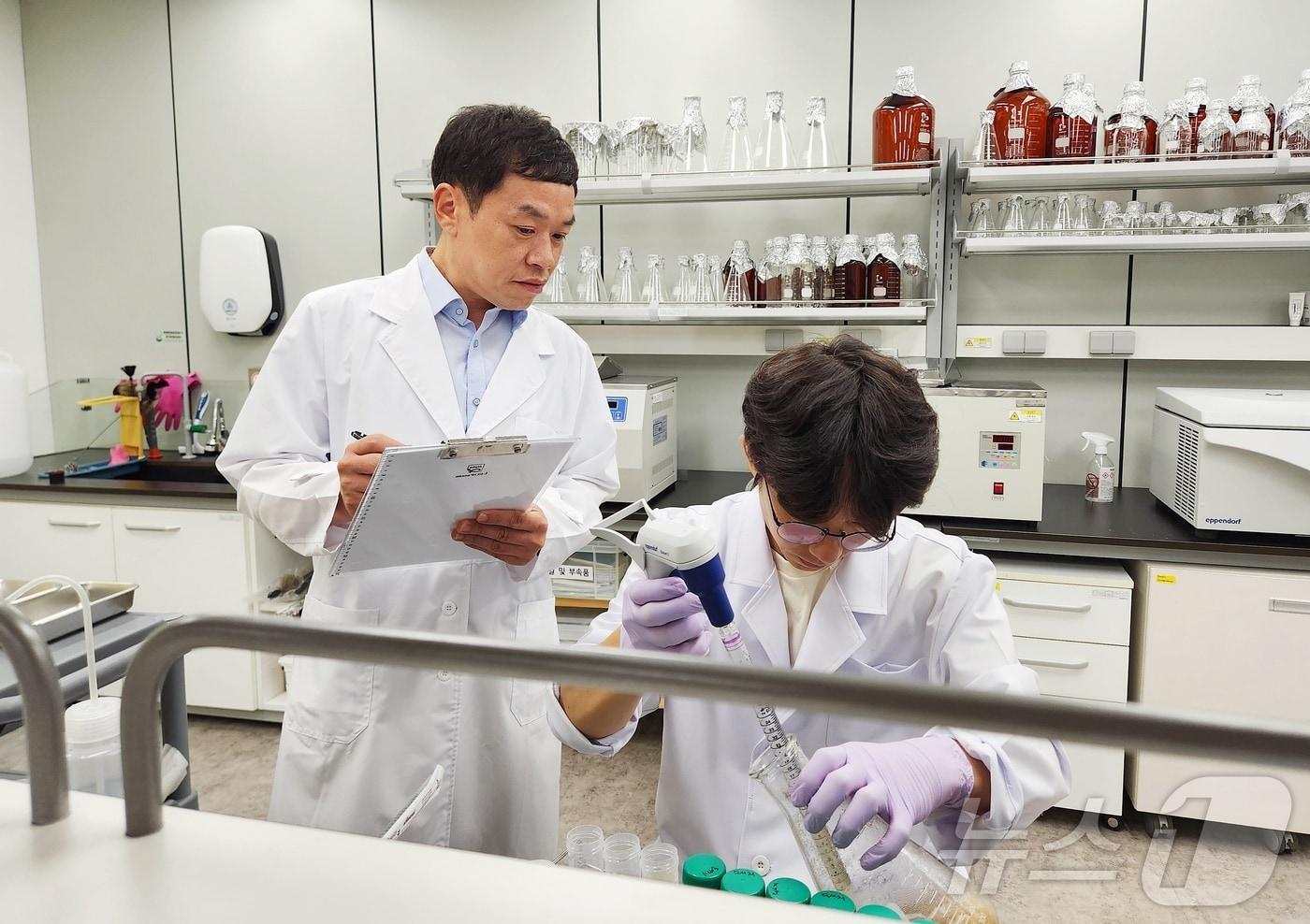 본문 이미지 - 지난 25일 국립축산과학원 연구실에서 김기현 농업연구사(농학박사, 왼쪽)와 서강민 박사가 반려동물 사료의 체외 소화율 실험을 하고 있다. ⓒ 뉴스1 한송아 기자