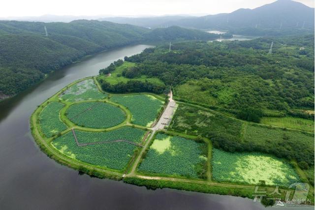 본문 이미지 - 울산 회야댐 생태습지.