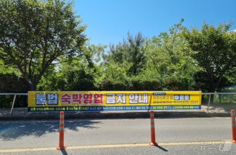 본문 이미지 - 강원 양양군의 한 도로변에 불법 숙박영업 금지를 알리는 홍보 현수막이 붙어 있다.(양양군 제공) 2024.7.31/뉴스1ㅇ