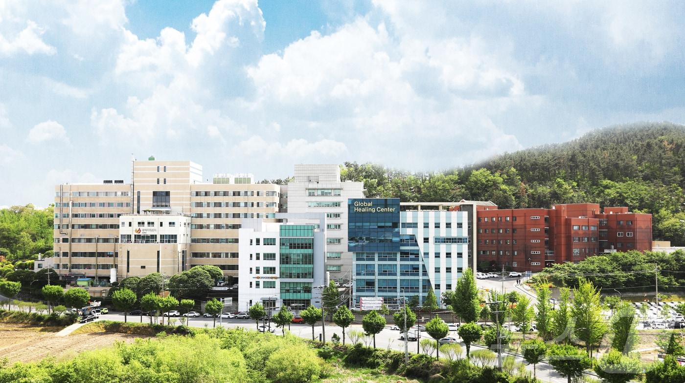 본문 이미지 -  동국대경주병원  전경.(뉴스1 자료) 2024.7.31/뉴스1