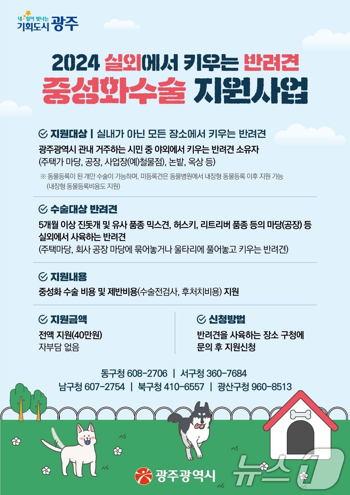 본문 이미지 - 광주광역시 반려견 중성화 수술 지원사업 포스터.(광주광역시 제공) 2024.7.4/뉴스1 