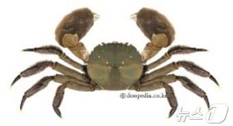 본문 이미지 - (환경부 제공) ⓒ 뉴스1