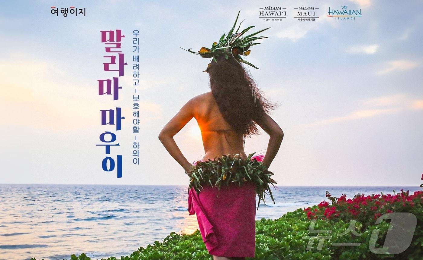 말라마 마우이 캠페인(교원투어 제공)