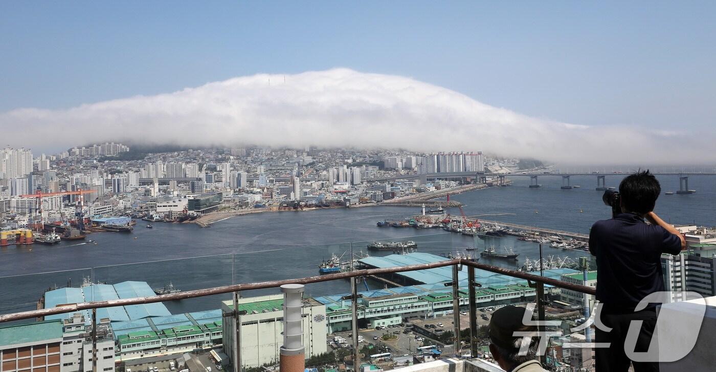 본문 이미지 - 절기상 본격적인 더위가 시작된다는 소서(小暑)를 하루 앞둔 5일 오후 부산 영도구 봉래산 일대가 짙은 해무로 뒤덮여 이색적인 풍경을 연출하고 있다. 바다에서 끼는 안개를 뜻하는 해무는 차가운 바닷물과 뜨거운 공기가 만나 초여름에 많이 발생한다. 2024.7.5/뉴스1 ⓒ News1 윤일지 기자
