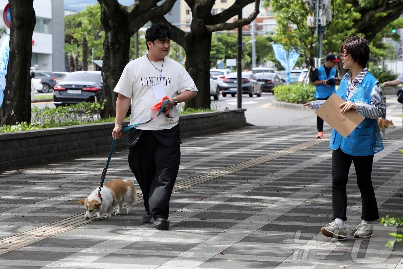 댕댕이 안전지킴이&#40;자료사진&#41;/뉴스1