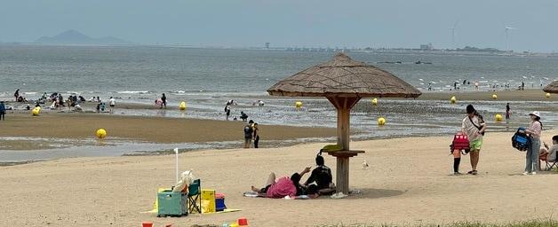 본문 이미지 - 전북 부안 변산해수욕장에서 피서객들이 물놀이를 즐기고 있다. ⓒ 뉴스1 장수인 기자