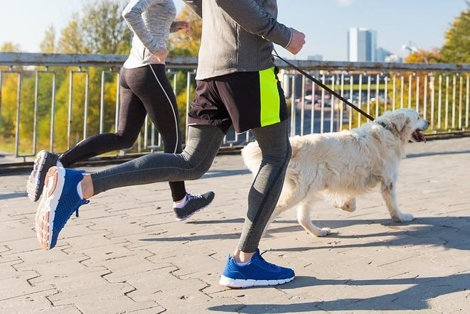 본문 이미지 - 강아지와 함께 하는 러닝은 반려인과 유대감을 돈독히 해주는 산책과 같은 역할을 할 수 있다. (사진 이미지투데이) ⓒ 뉴스1