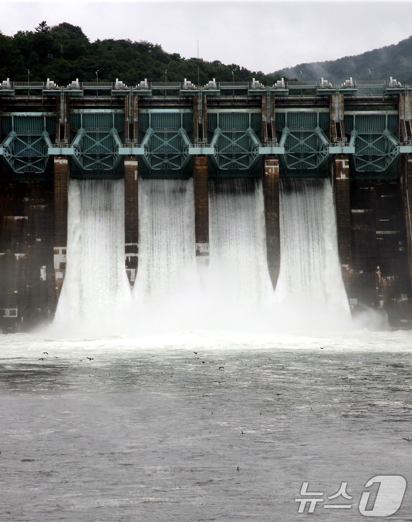 본문 이미지 - 수문을 연 대청댐이 물을 방류하는 모습.(뉴스1DB)/뉴스1