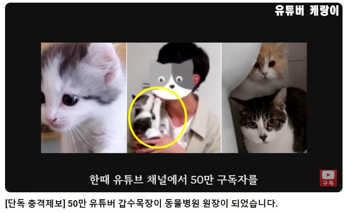 본문 이미지 - 동물학대 및 사기 혐의로 고발됐던 수의대생 유튜버 '갑수목장'이 졸업 후 동물병원을 개업하고 진료를 보고 있다는 의혹이 확산되고 있다. (유튜브 '모범튜브 케랑이' 갈무리) ⓒ 뉴스1