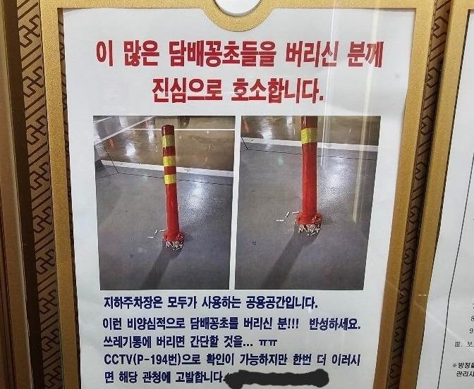본문 이미지 - (보배드림 갈무리)