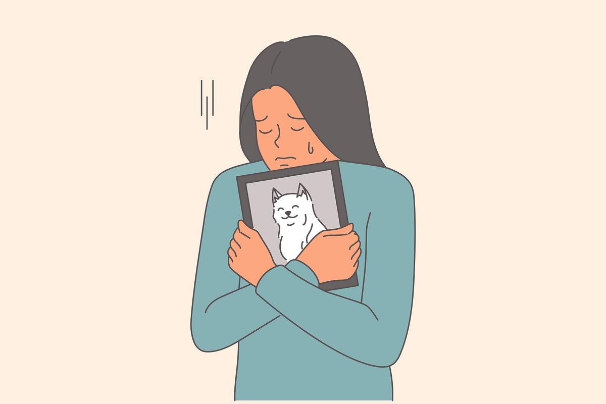 본문 이미지 - 반려동물 양육 인구가 증가하고 있지만 합법적인 반려동물 장묘에 대한 인식은 낮은 것으로 나타났다. (사진 이미지투데이) ⓒ 뉴스1